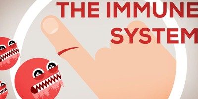 Ways to Boost Immunity