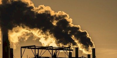 Heavy Metal Toxicity