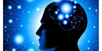 Human Brain Facts