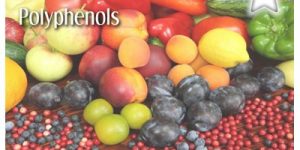 polyphenols - Dr. David Jensen